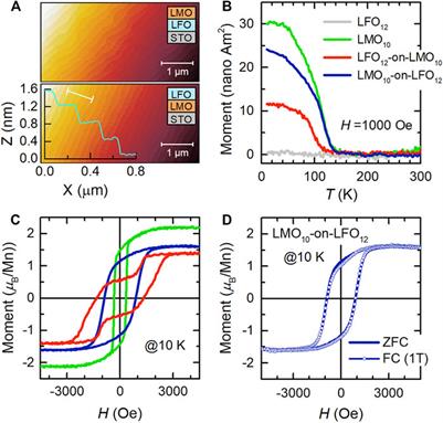 Asymmetric Interfacial Intermixing Associated Magnetic Coupling in LaMnO3/LaFeO3 Heterostructures